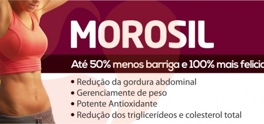 MOROSIL-SITE-banner1